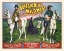 Picture of BUFFALO BILLS WILD WEST AND CONGRESS OF ROUGH RIDERS OF THE WORLD - 1896