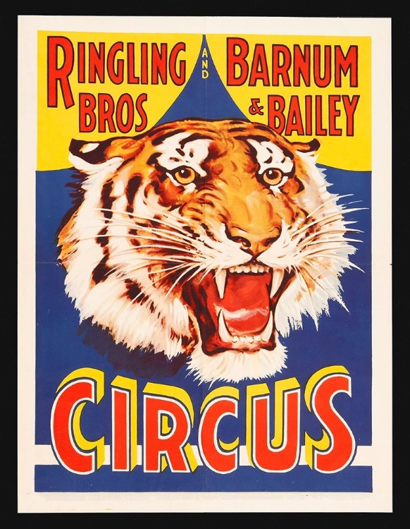 Picture of CIRCUS