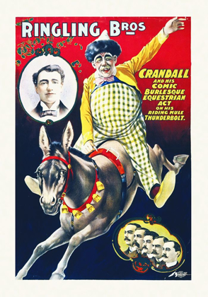 Picture of RINGLING BROS - CRANDALL AND HIS COMIC BURLESQUE EQUESTRIAN ACT ON HIS RIDING MULE THUNDERBOLT