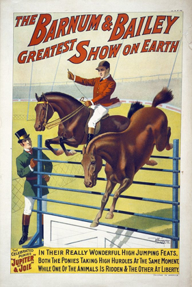 Picture of THE BARNUM AND BAILEY GREATEST SHOW ON EARTH--THE CELEBRATED PONIES JUPITE AND JOIE