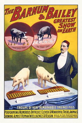 Picture of THE BARNUM AND BAILEY GREATEST SHOW ON EARTH--TROUPE OF VERY REMARKABLE TRAINED PIGS
