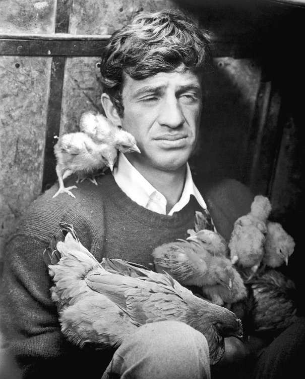 Picture of JEAN PAUL BELMONDO