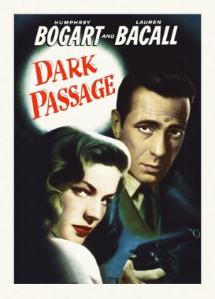 Picture of DARK PASSAGE