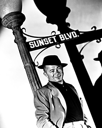 Picture of SUNSET BOULEVARD