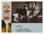 Picture of ELIZABETH TAYLOR - BOOM! - LOBBY CARD