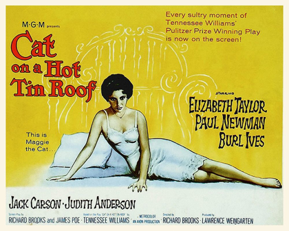 Picture of ELIZABETH TAYLOR - CAT ON A HOT TIN ROOF
