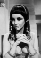 Picture of ELIZABETH TAYLOR - CLEOPATRA