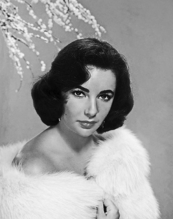 Picture of ELIZABETH TAYLOR