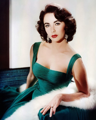 Picture of ELIZABETH TAYLOR