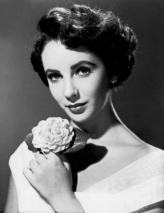 Picture of ELIZABETH TAYLOR