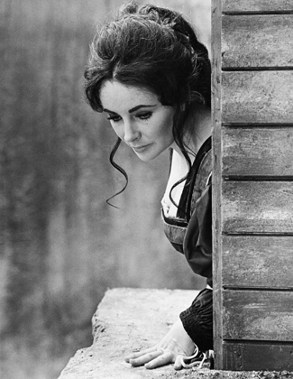 Picture of ELIZABETH TAYLOR