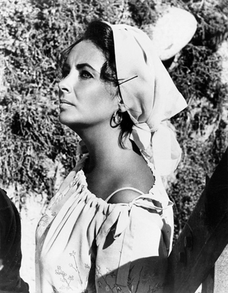 Picture of ELIZABETH TAYLOR - THE SANDPIPER