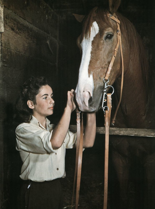 Picture of NATIONAL VELVET - ELIZABETH TAYLOR