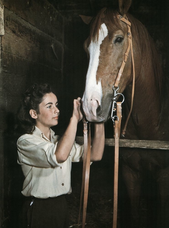 Picture of NATIONAL VELVET - ELIZABETH TAYLOR