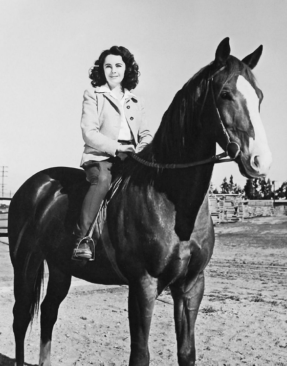 Picture of NATIONAL VELVET - ELIZABETH TAYLOR