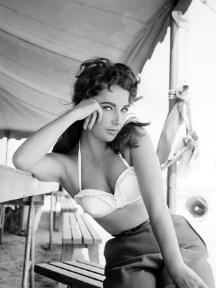 Picture of ELIZABETH TAYLOR