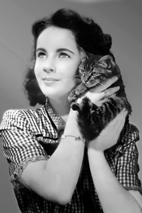 Picture of ELIZABETH TAYLOR WITH A KITTEN