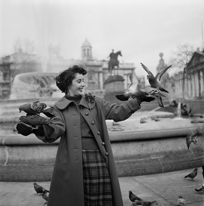 Picture of ELIZABETH TAYLOR WITH PIGEONS