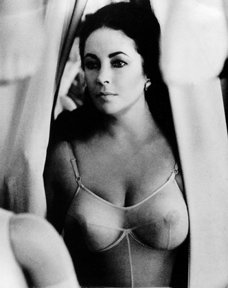 Picture of ELIZABETH TAYLOR