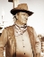 Picture of JOHN WAYNE