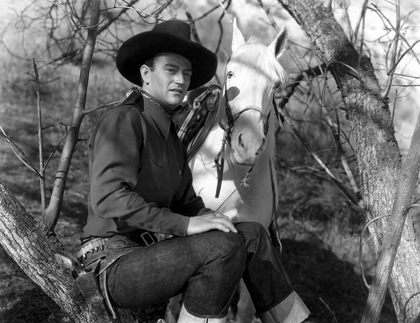 Picture of THE DESERT TRAIL - JOHN WAYNE