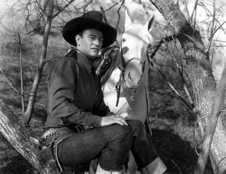 Picture of THE DESERT TRAIL - JOHN WAYNE