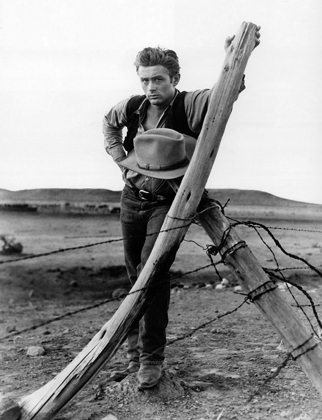 Picture of JAMES DEAN