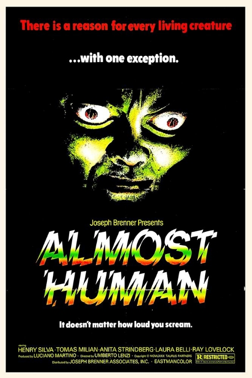 Picture of ALMOST HUMAN