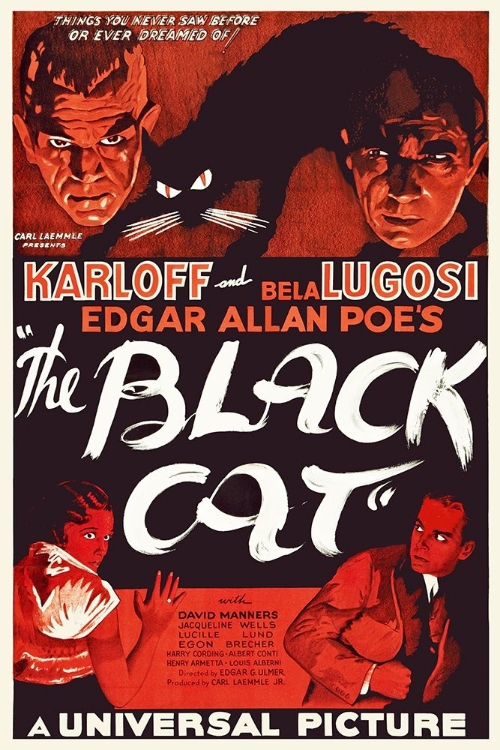 Picture of THE BLACK CAT