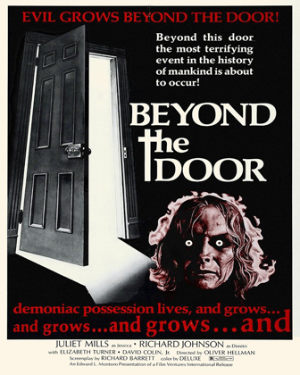 Picture of BEYOND THE DOOR