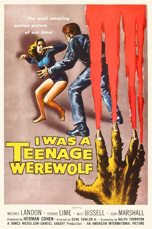 Picture of I WAS A TEENAGE WEREWOLF