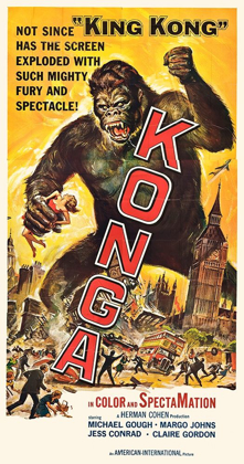 Picture of KONGA