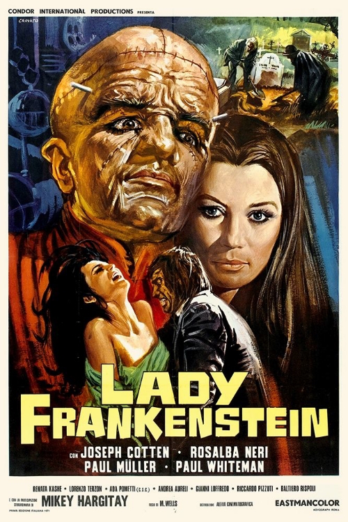 Picture of LADY FRANKENSTEIN