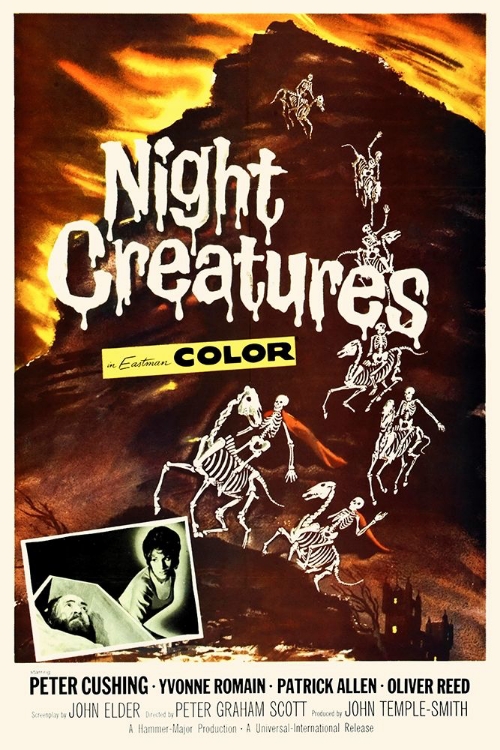 Picture of NIGHT CREATURES