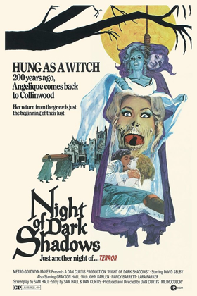 Picture of NIGHT OF DARK SHADOWS