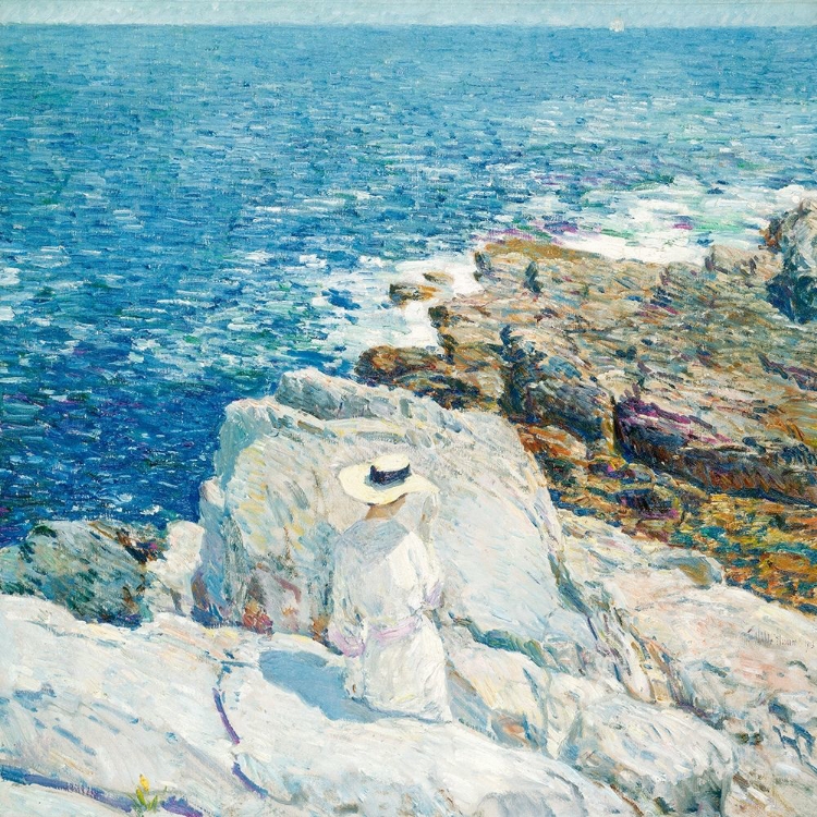 Picture of THE SOUTH LEDGES, APPLEDORE 