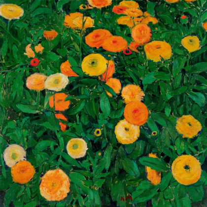 Picture of MARIGOLDS