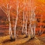 Picture of BOSCO DI BETULLE II