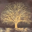 Picture of GOLDEN OAK