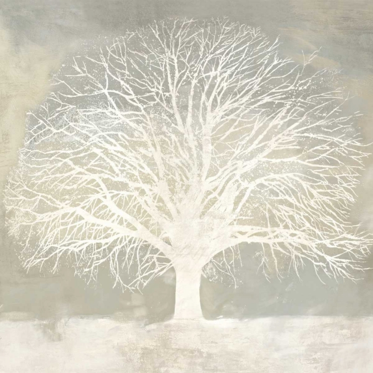 Picture of WHITE OAK