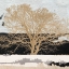 Picture of GOLDEN TREE (DETAIL)