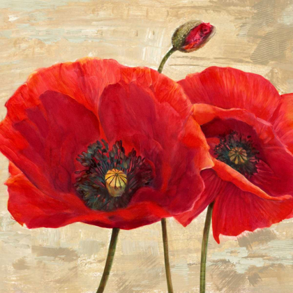 Picture of RED POPPIES (DETAIL II)