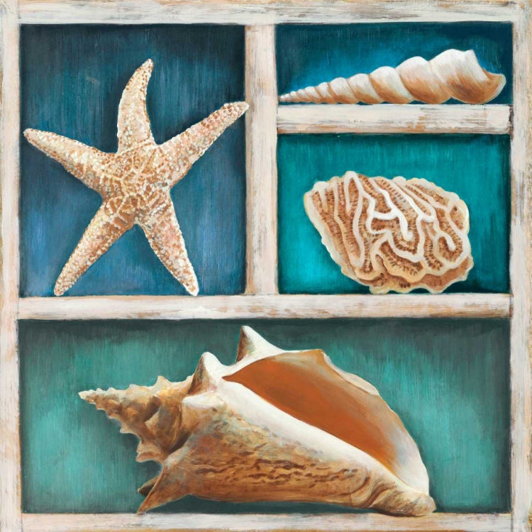 Picture of COLLECTION OF MEMORIES VI