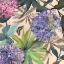 Picture of LILAC HYDRANGEAS