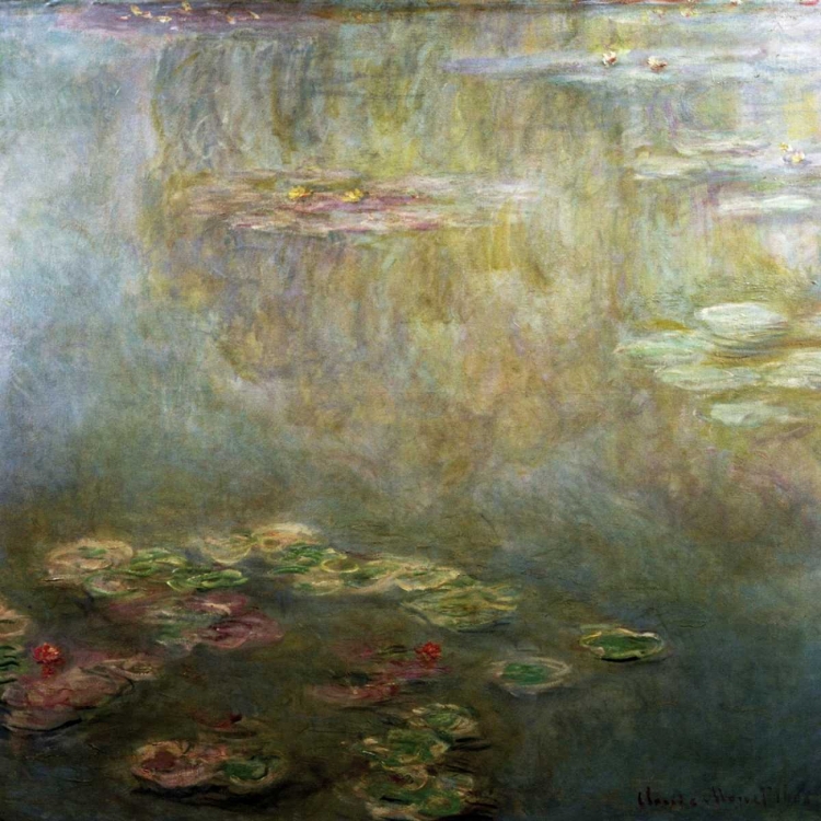 Picture of WATER LILIES