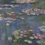 Picture of WATER LILIES