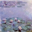 Picture of WATER LILIES