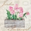 Picture of JARDIN PROVENCAL