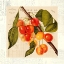 Picture of CERISES