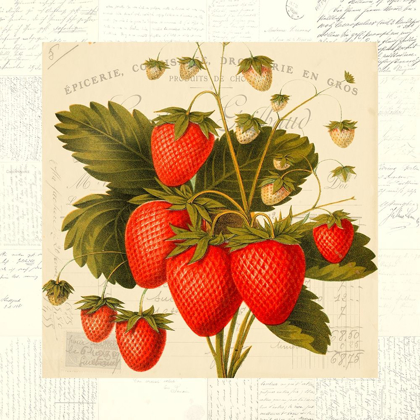 Picture of FRAISES